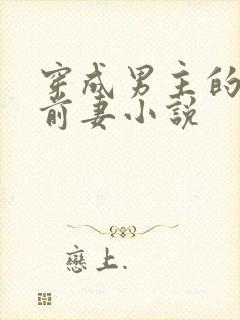 穿成男主的炮灰前妻小说封面