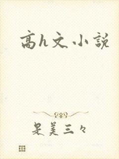 高h文小说封面