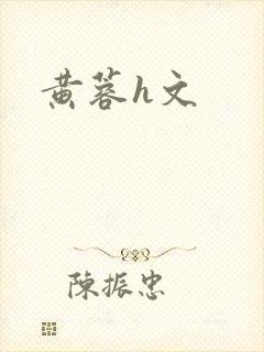黄蓉h文封面