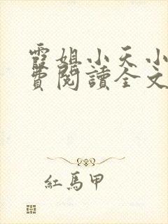 霞姐小天小说免费阅读全文无弹窗封面