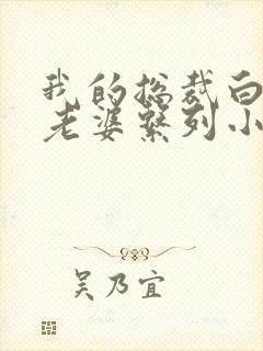 我的总裁白富美老婆系列小说