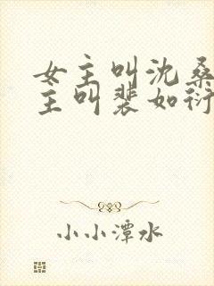 女主叫沈桑宁男主叫裴如衍的小说