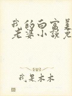 我的白富美总裁老婆小说免费阅读封面