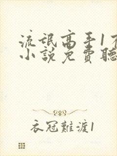 流氓高手1有声小说免费听