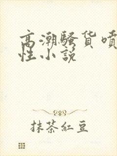 高潮骚货喷水双性小说