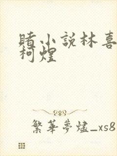 赌小说林喜朝和柯煜