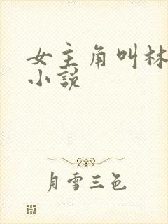 女主角叫林蔓的小说封面