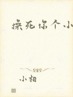 操死你个小骚货