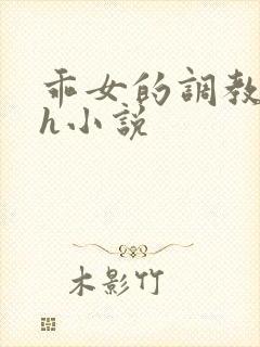 乖女的调教日常h小说