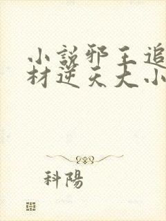 小说邪王追妻废材逆天大小姐