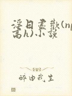 淫日尽欢(np高h)小说