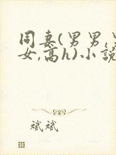 同妻(男男,男女,高h)小说封面