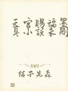 天官赐福墨香铜臭小说未删版全文封面