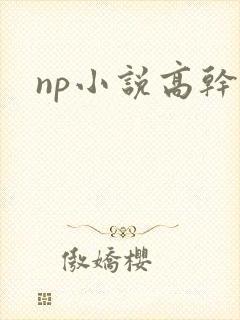 np小说高干文