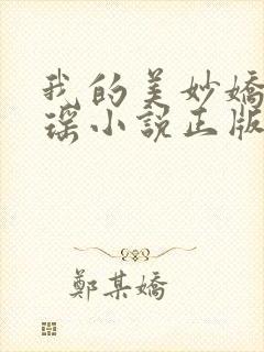 我的美妙娇妻瑶瑶小说正版