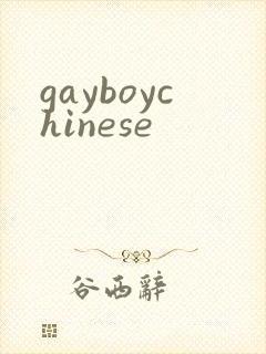 gayboychinese封面