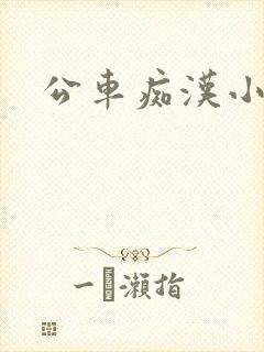 公车痴汉小说封面