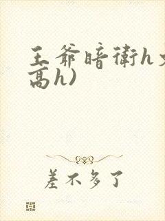 王爷暗卫h文(高h)