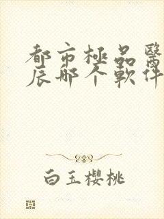 都市极品医神叶辰哪个软件可以看封面