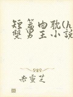 短篇肉耽(h)双男主小说