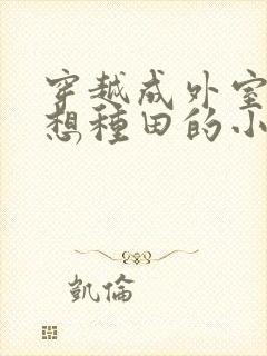 穿越成外室我只想种田的小说