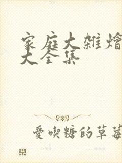 家庭大杂烩小说大全集封面