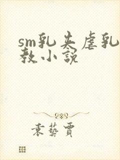 sm乳夹虐乳调教小说封面