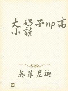 大奶子np高h小说