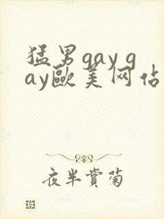 猛男gay gay欧美网站