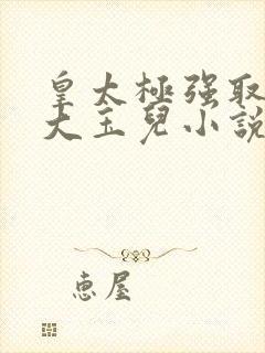 皇太极强取豪夺大玉儿小说