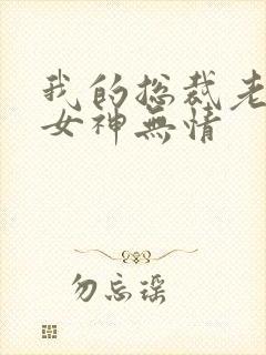 我的总裁老婆是女神无情