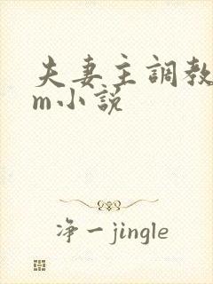 夫妻主调教 sm小说