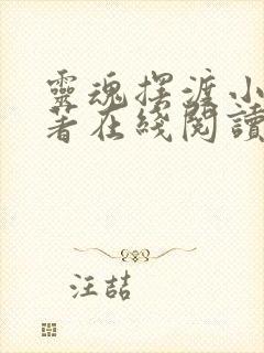 灵魂摆渡小说原著在线阅读