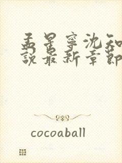 孟星宁沈知聿小说最新章节免费阅读