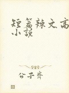 短篇辣文高h文小说