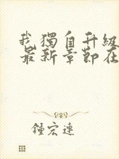 我独自升级小说最新章节在线阅读