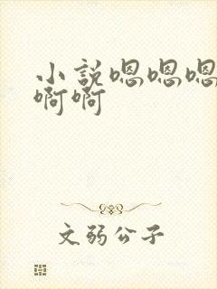 小说嗯嗯嗯啊啊啊啊