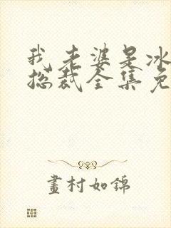 我老婆是冰山女总裁全集免费看