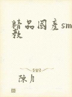 精品国产sm调教