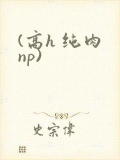 (高h 纯肉 np)封面