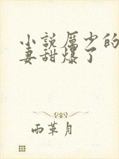 小说厉少的小娇妻甜爆了