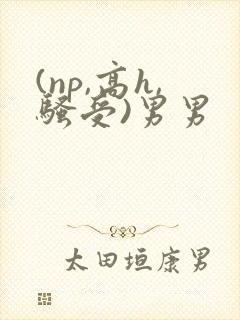 (np,高h,骚受)男男
