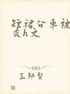 短裙公车被强好爽h文