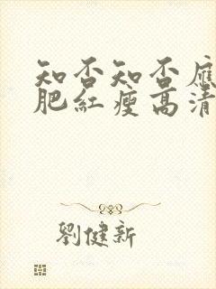 知否知否应是绿肥红瘦高清下载封面