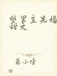 双男主先婚后爱甜文