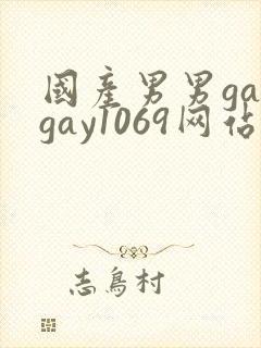 国产男男gaygay1069网站