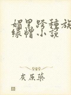 媚黑跨种族狂欢绿帽小说封面