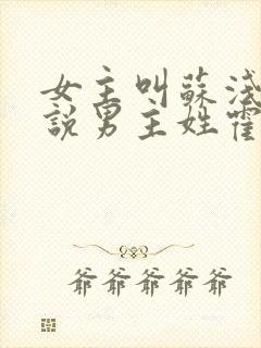 女主叫苏浅的小说男主姓霍