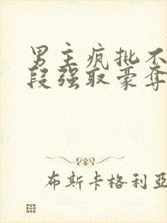 男主疯批不择手段强取豪夺的古言