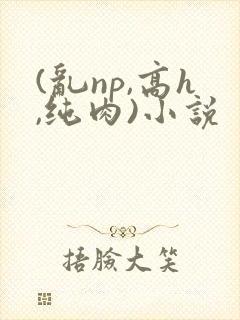(乱np,高h,纯肉)小说